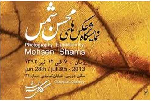 عكس‌های محسن شمس در گالری گلستان